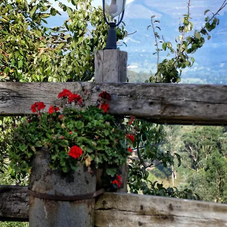 La De Bienvenida Tezanos